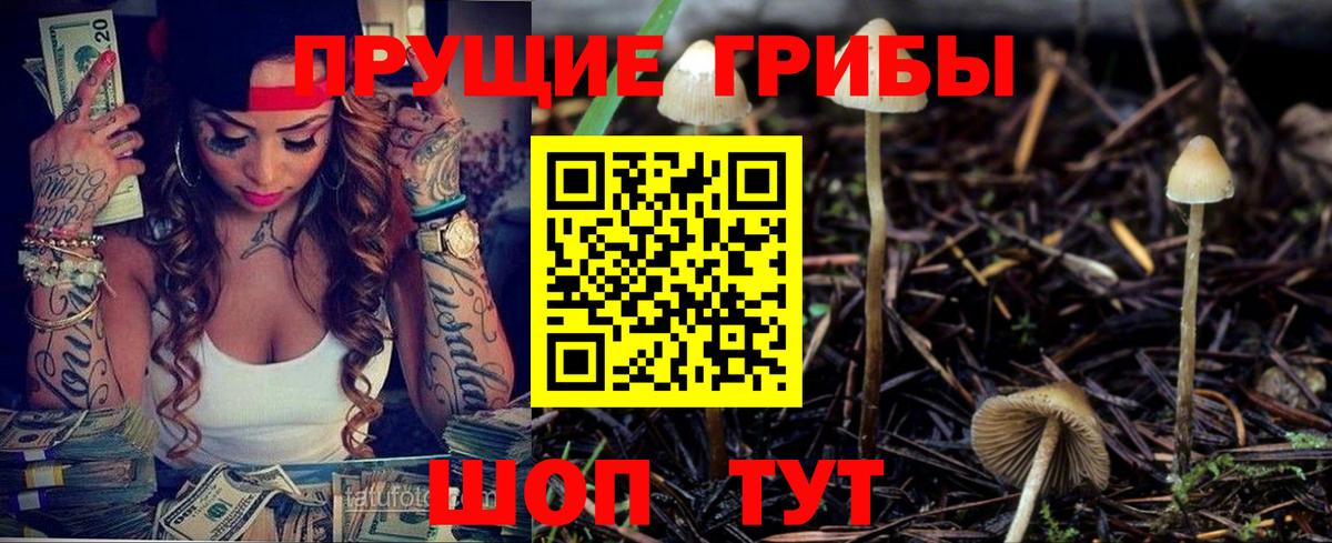 Галлюциногенные грибы Psilocybe  Вход с VPN  Заречный 